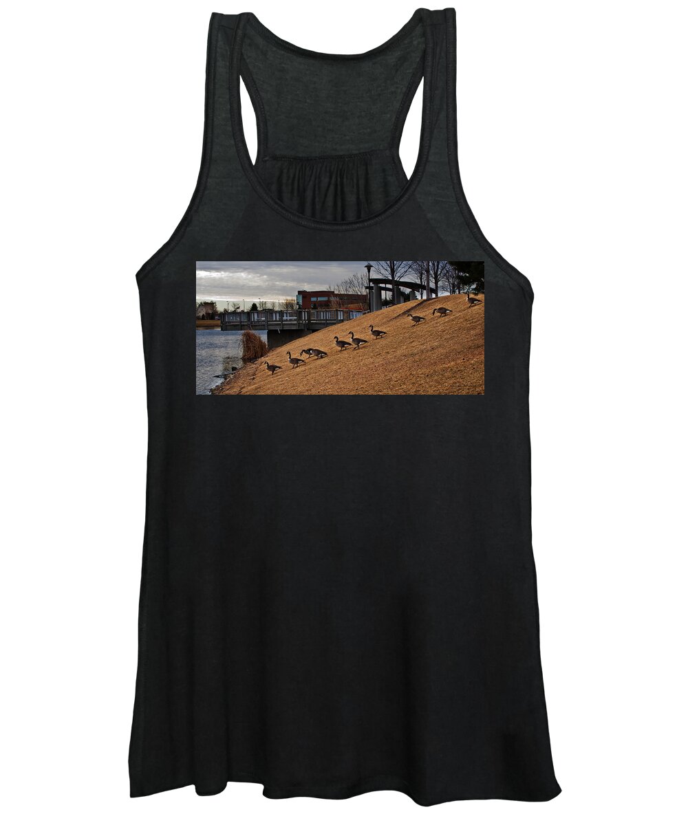 Lakeside Canada Goose Women's Tank Top featuring the photograph March To The Water by Ed Peterson