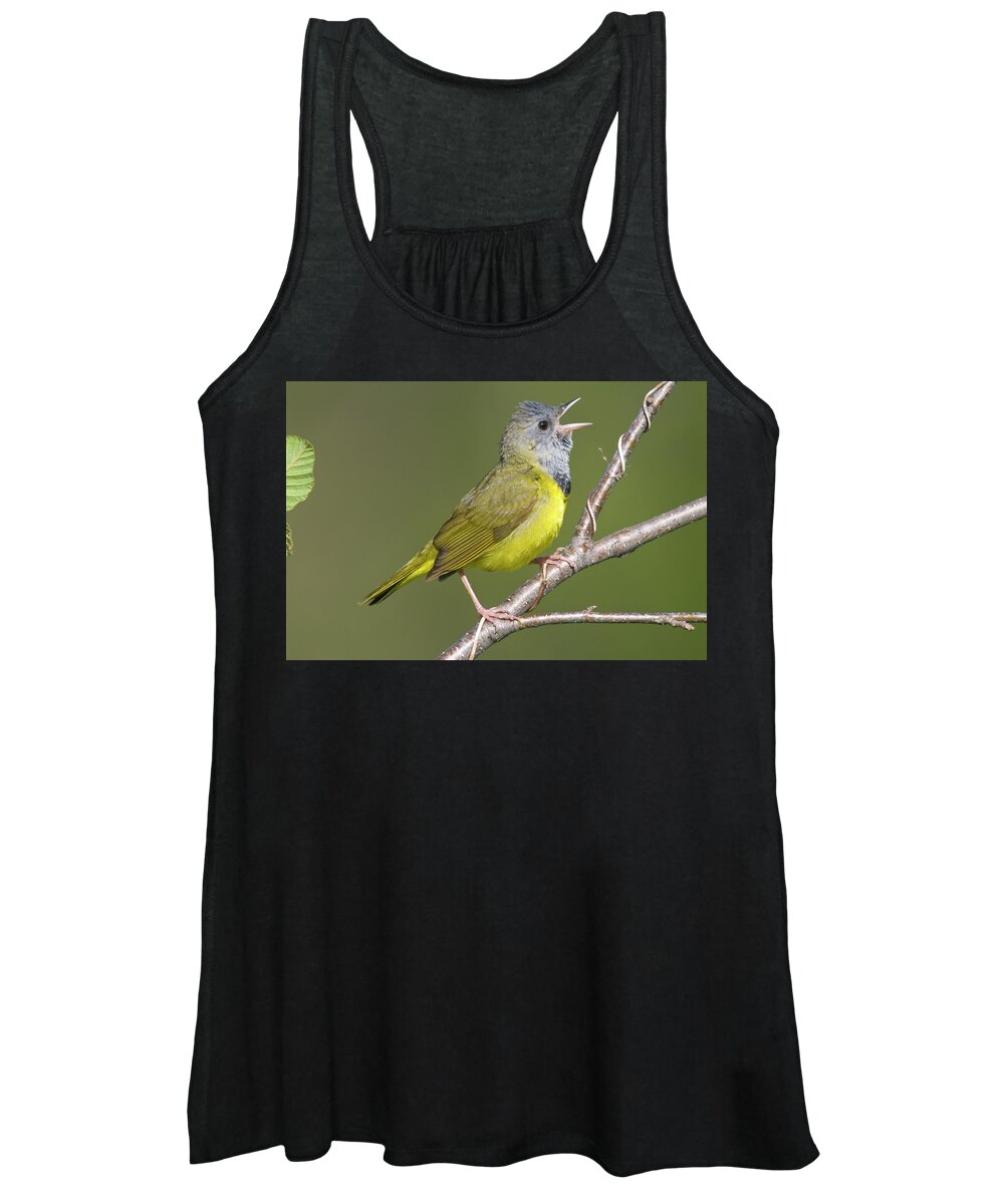 Mp Women's Tank Top featuring the photograph Mourning Warbler Oporornis Philadelphia by Steve Gettle