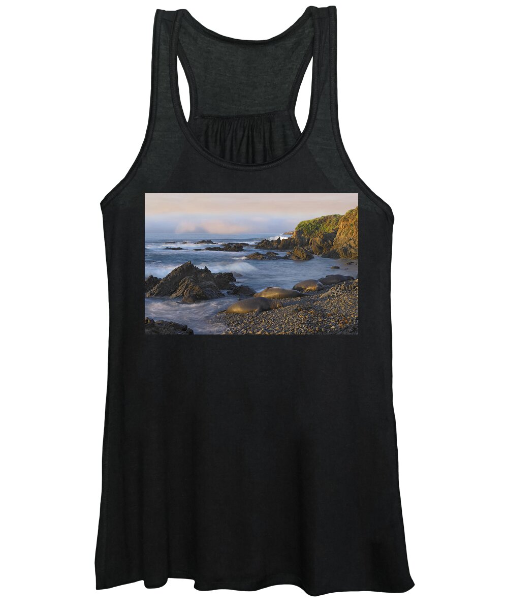 00175284 Women's Tank Top featuring the photograph Northern Elephant Seal Group Resting by Tim Fitzharris