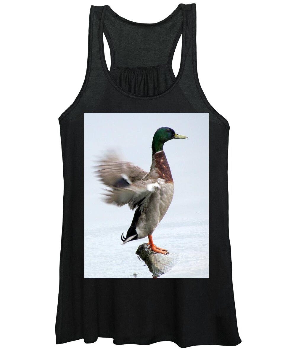 Bird Women's Tank Top featuring the photograph Ready for Take Off Captain by Lori Lafargue