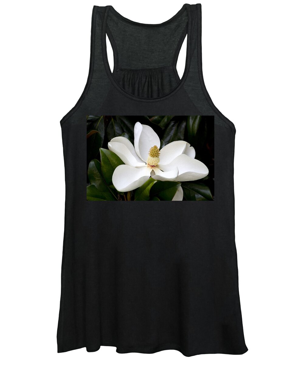 Magnolia X Wieseneri Women's Tank Top featuring the photograph Regal Southern Magnolia Blossom by Kathy Clark