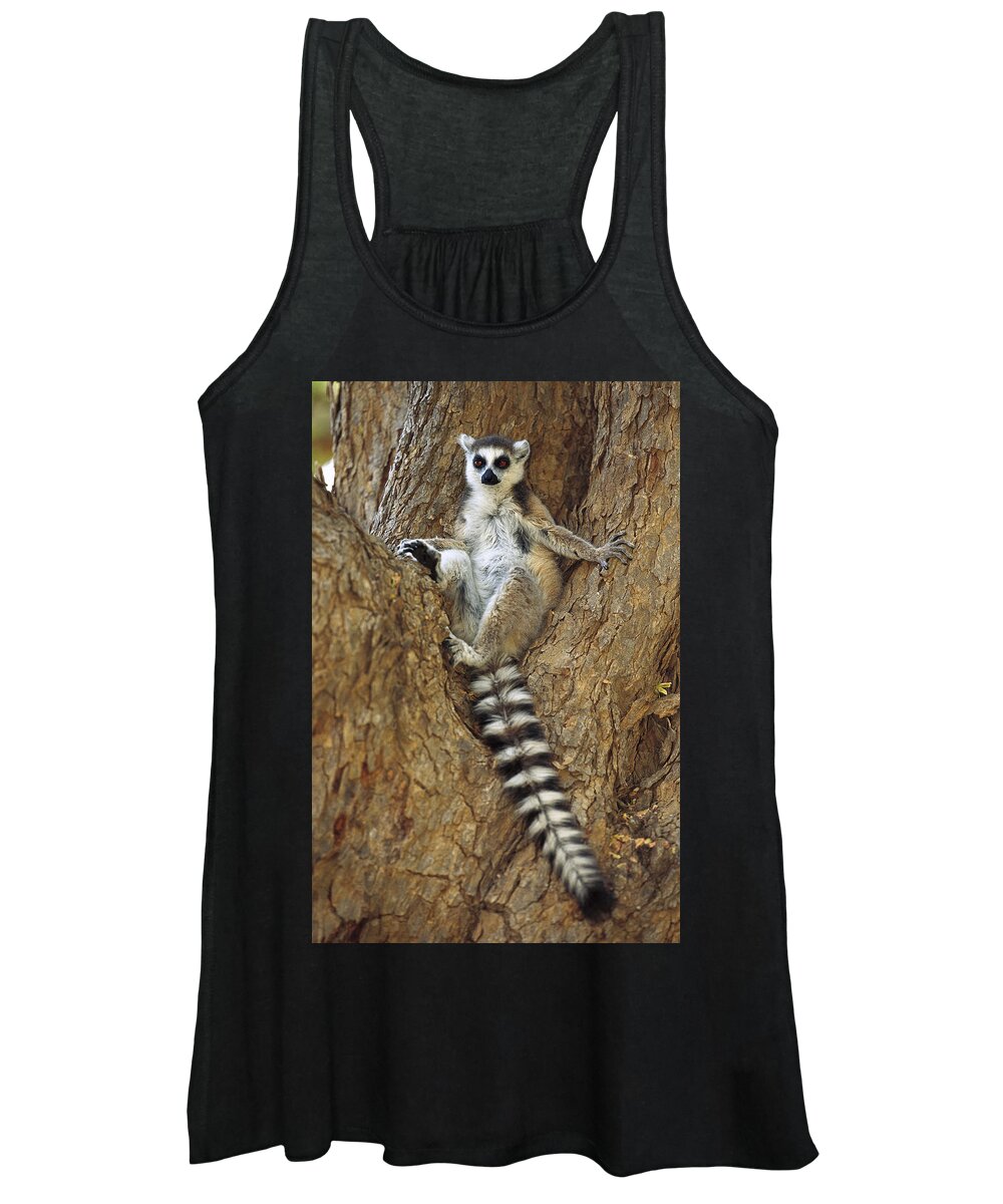 00620171 Women's Tank Top featuring the photograph Ring-tailed Lemur In A Tree by Cyril Ruoso