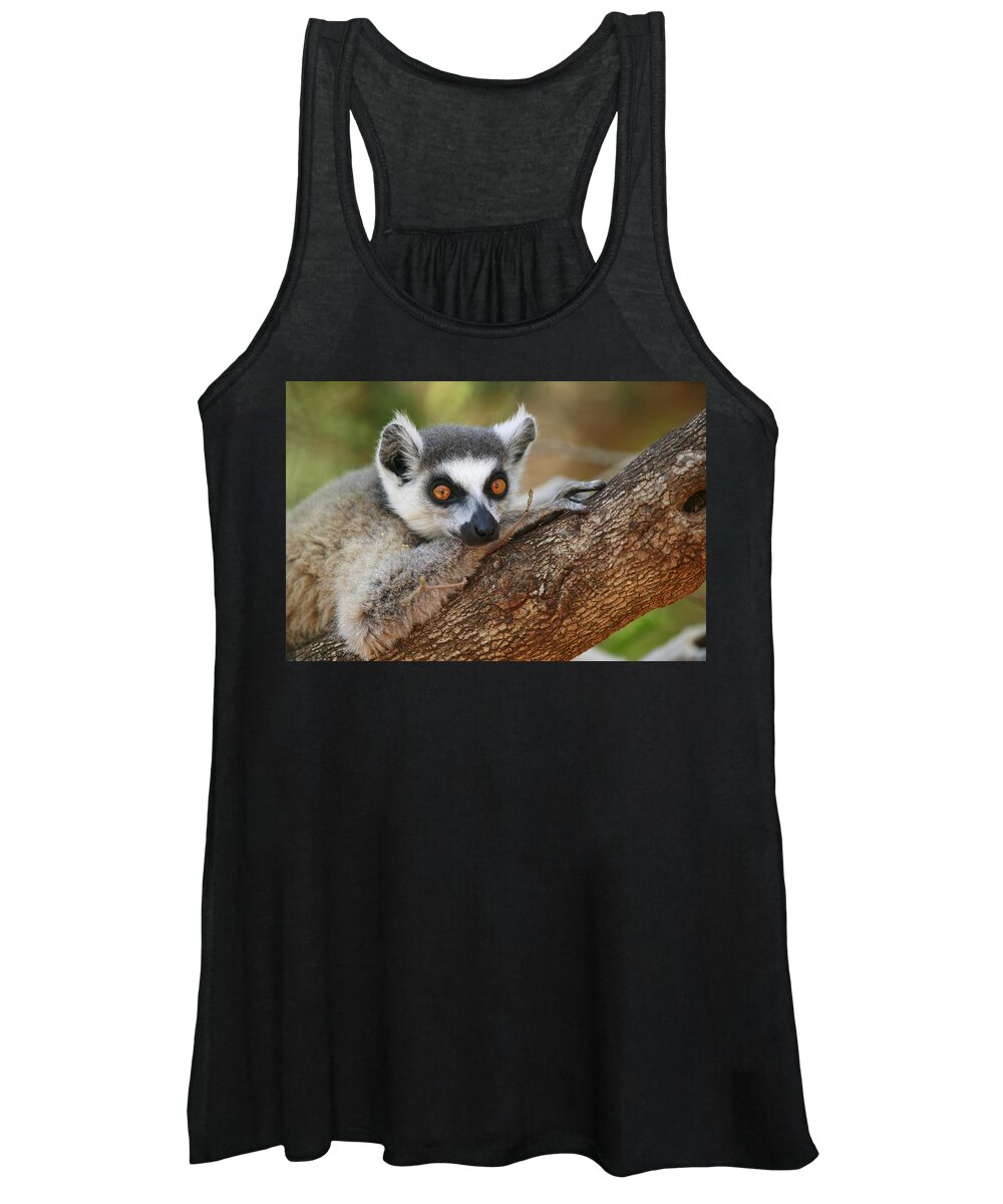 00621089 Women's Tank Top featuring the photograph Ring-tailed Lemur Resting by Cyril Ruoso