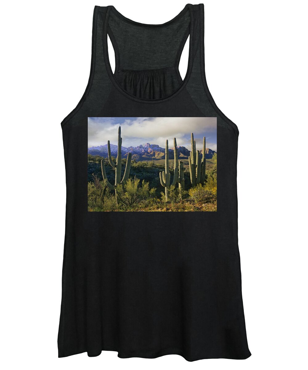 00176715 Women's Tank Top featuring the photograph Saguaro Cacti And Santa Catalina by Tim Fitzharris