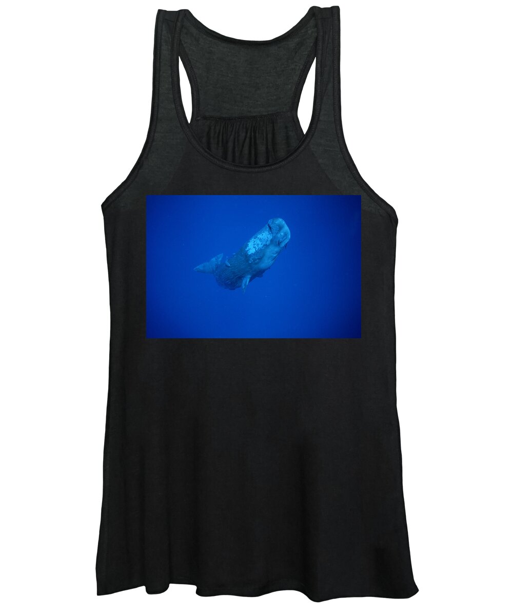 00113844 Women's Tank Top featuring the photograph Sperm Whale Juvenile Dominica by Flip Nicklin