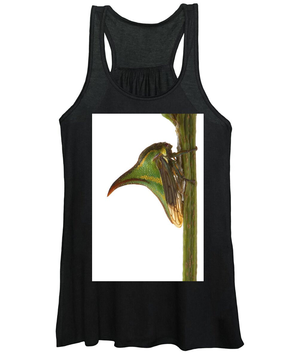 00478994 Women's Tank Top featuring the photograph Treehopper Mimicking Thorn Costa Rica by Piotr Naskrecki