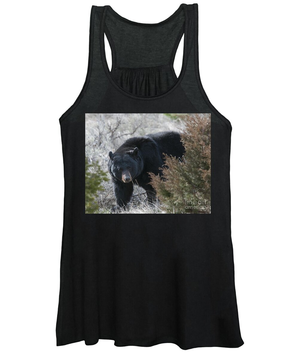Black Bear Women's Tank Top featuring the photograph Black Bear #1 by Gary Beeler