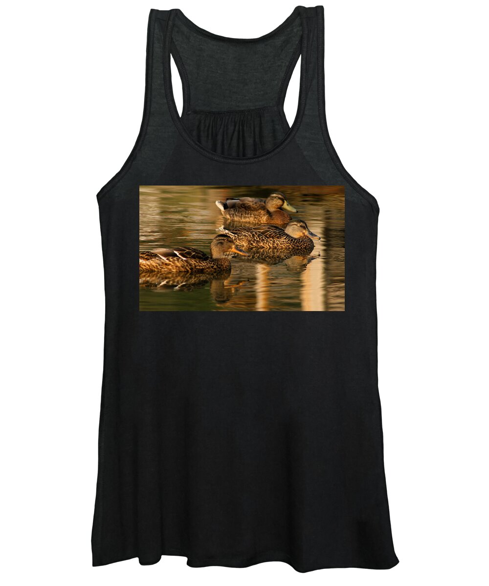 Ducks Women's Tank Top featuring the photograph Mallards Swimming in the Water at Magic Hour by Angela Rath