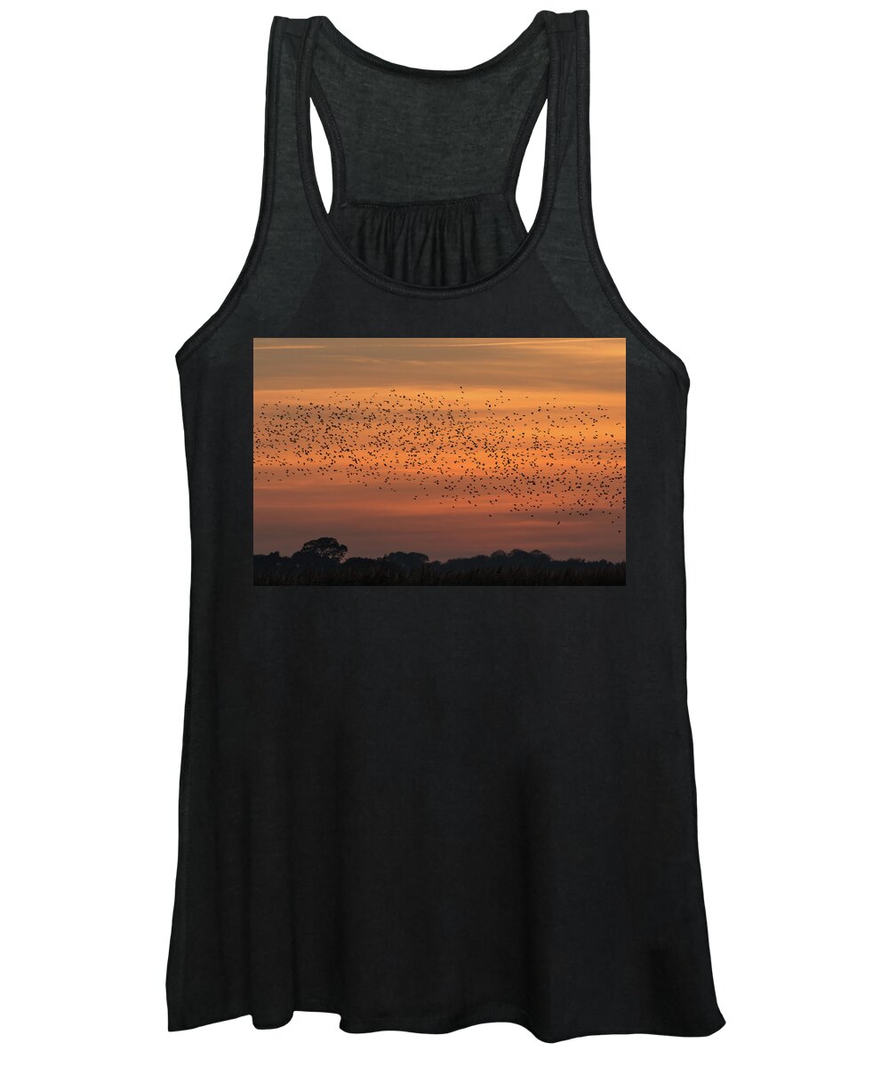 ©wendy Cooper Women's Tank Top featuring the photograph Sunset Starlings #1 by Wendy Cooper