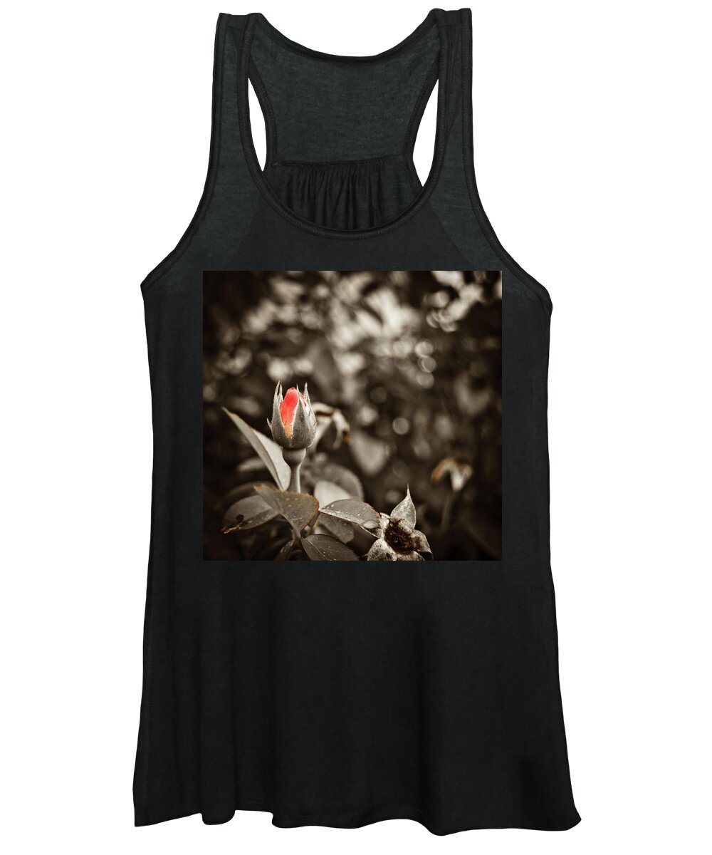 Rose Women's Tank Top featuring the photograph Vintage Rose #1 by Amber Flowers