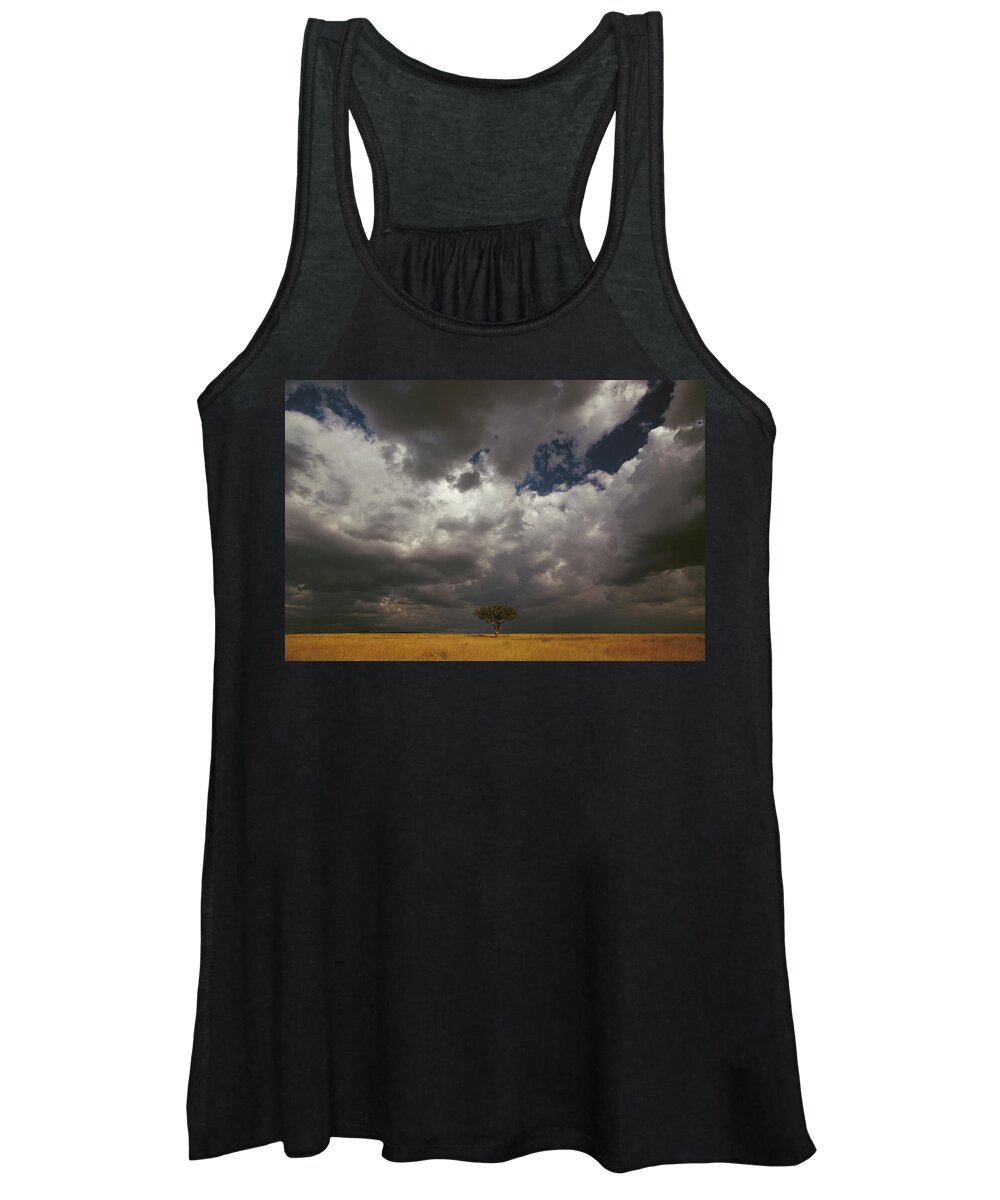 Mp Women's Tank Top featuring the photograph Whistling Thorn Acacia Drepanolobium #1 by Gerry Ellis