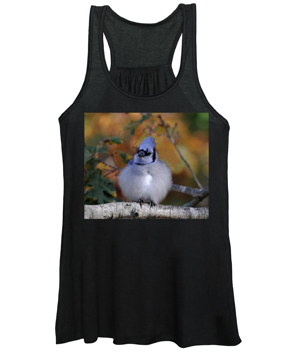 Blue Jay Women's Tank Top featuring the photograph Blue Jay #2 by Diane Giurco