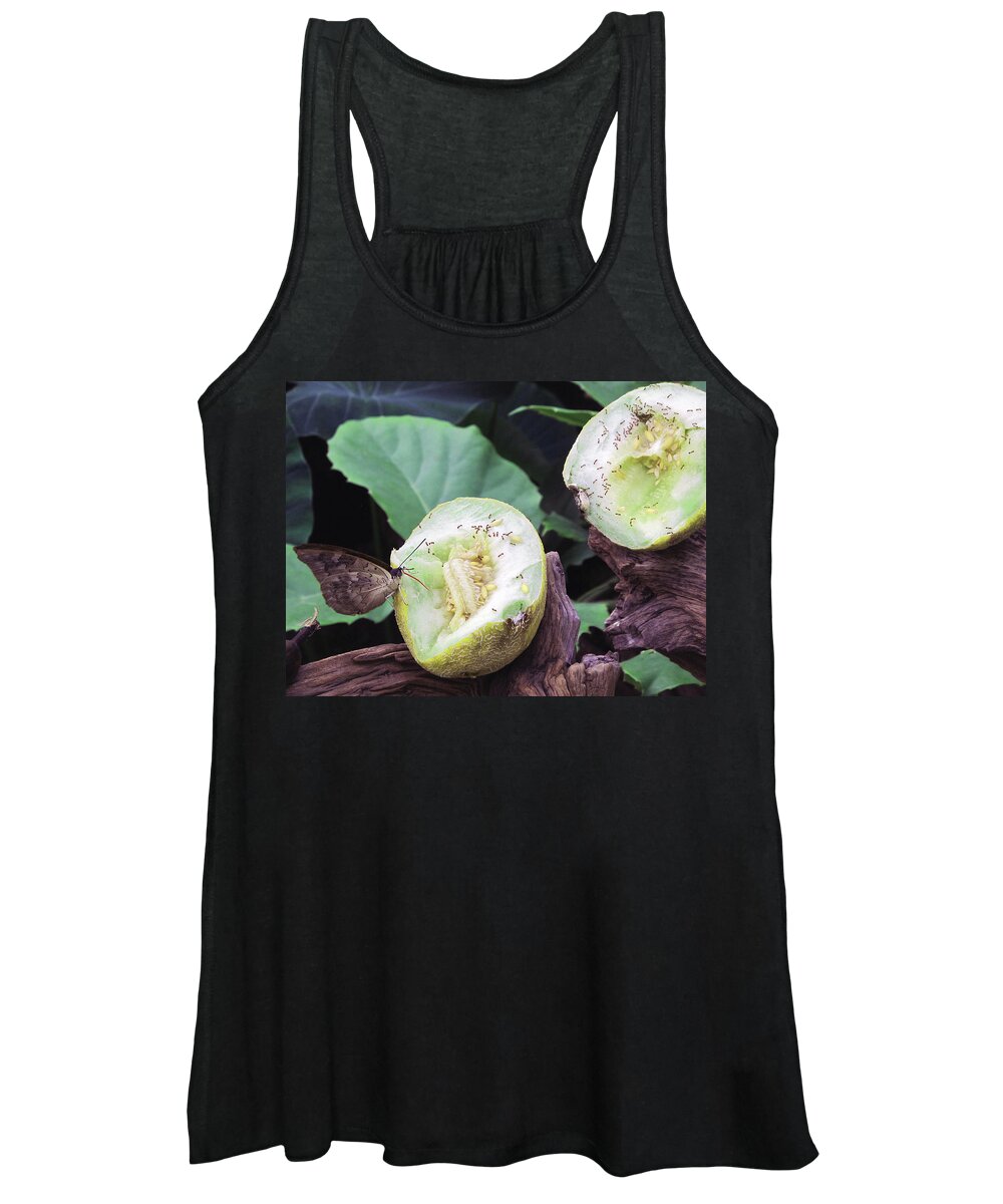 Nature Women's Tank Top featuring the photograph Butterfly Buffet by Kathy Corday