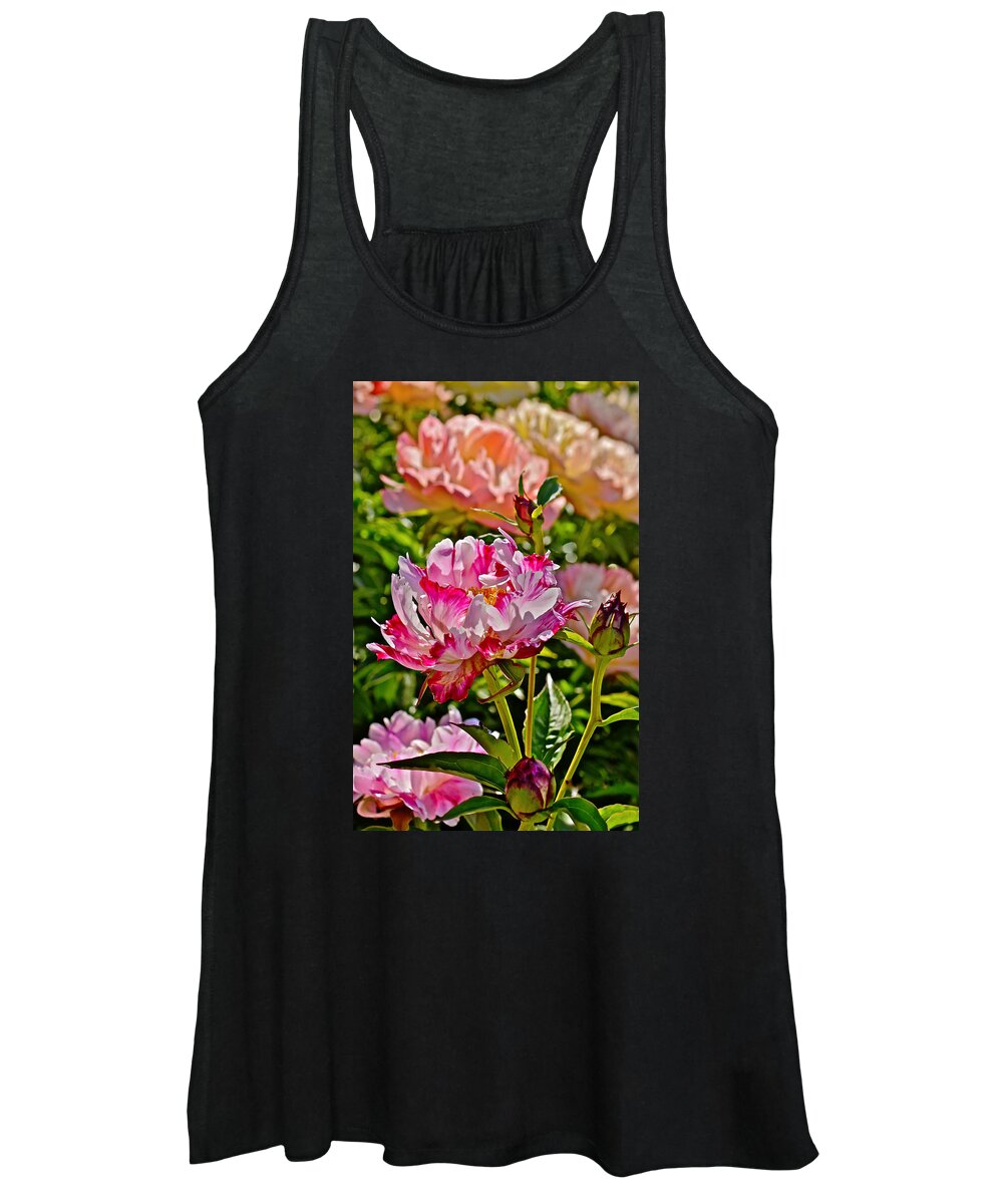 Peonies Women's Tank Top featuring the photograph 2015 Summer's Eve at the Garden Candy Stripe Peony by Janis Senungetuk