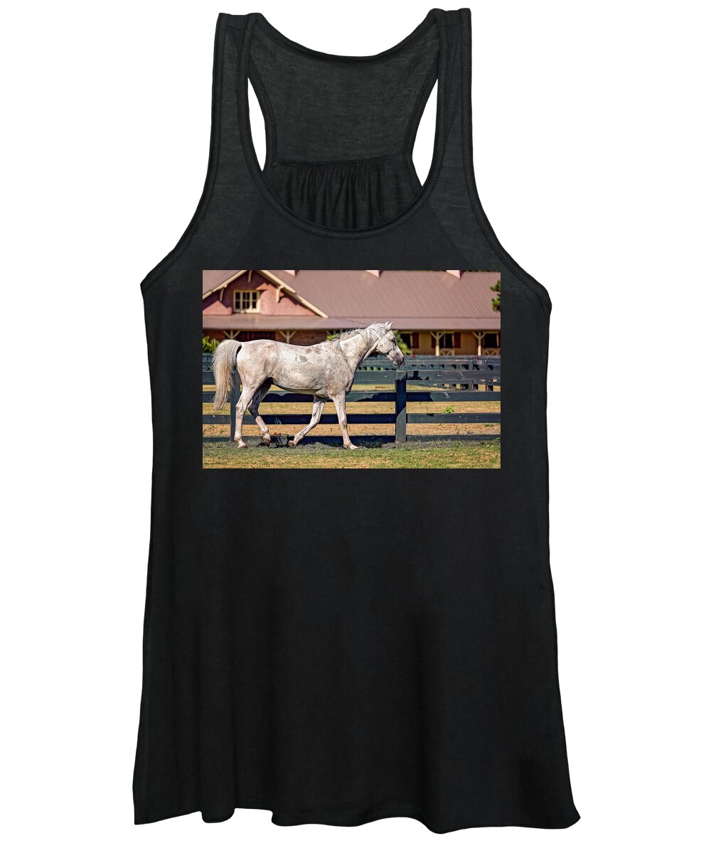 Animal Women's Tank Top featuring the photograph Horses in Hilton Head Island #3 by Peter Lakomy