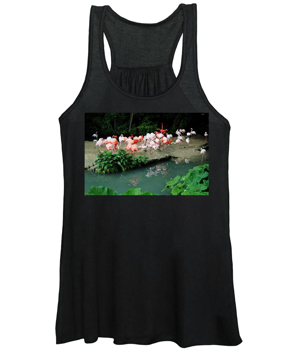 Bird Women's Tank Top featuring the photograph Bird #69 by Jackie Russo