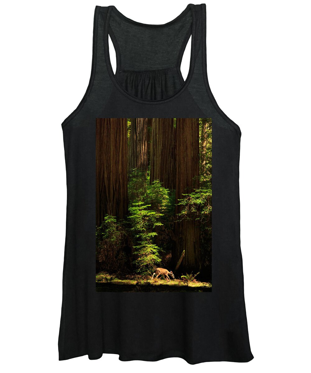 Deer Women's Tank Top featuring the photograph A Deer In The Redwoods by James Eddy