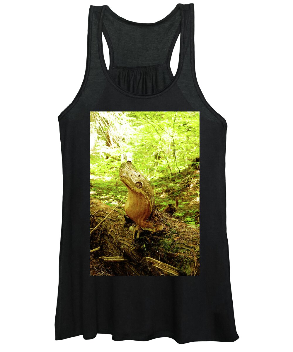 Adventures Women's Tank Top featuring the photograph A Tree Seal by Tim Dussault