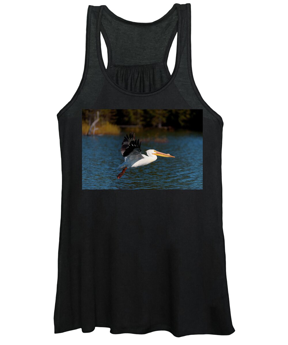 American Women's Tank Top featuring the photograph American White Pelican by Andrew Kumler