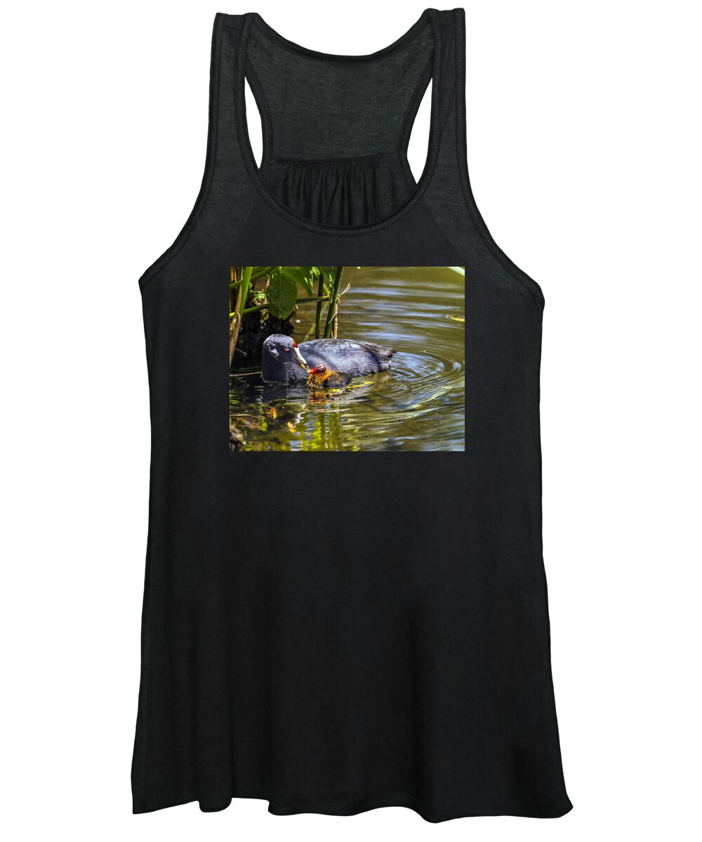 Bird Women's Tank Top featuring the photograph Andean Coot Feeding Her Chick by William Bitman