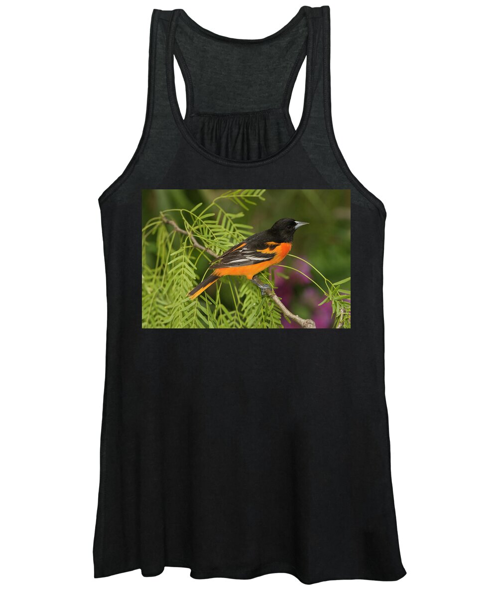 Mp Women's Tank Top featuring the photograph Baltimore Oriole Icterus Galbula Male by Tom Vezo