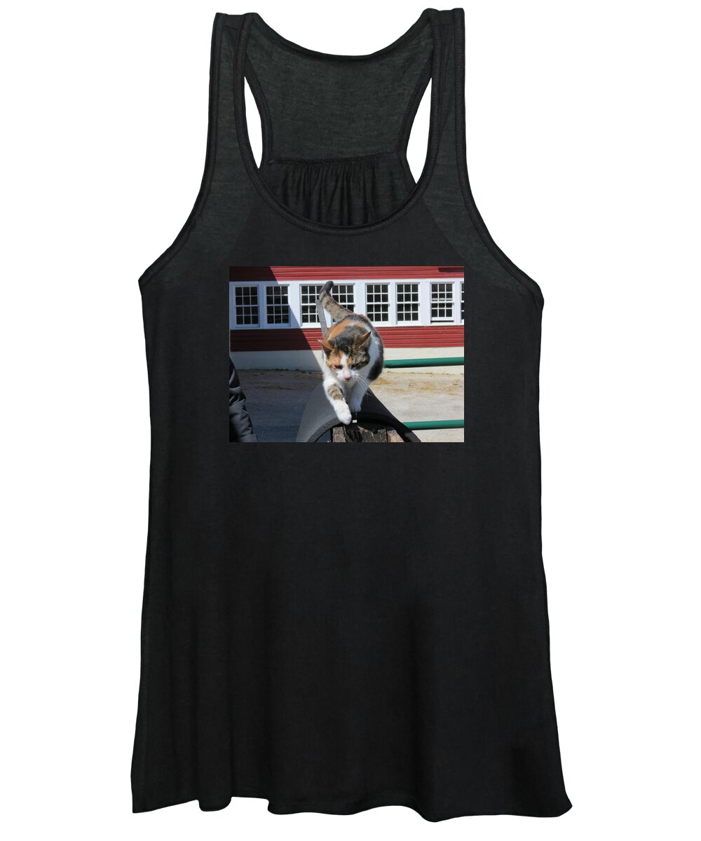 Barn Women's Tank Top featuring the photograph Barn Cat by Laura Henry