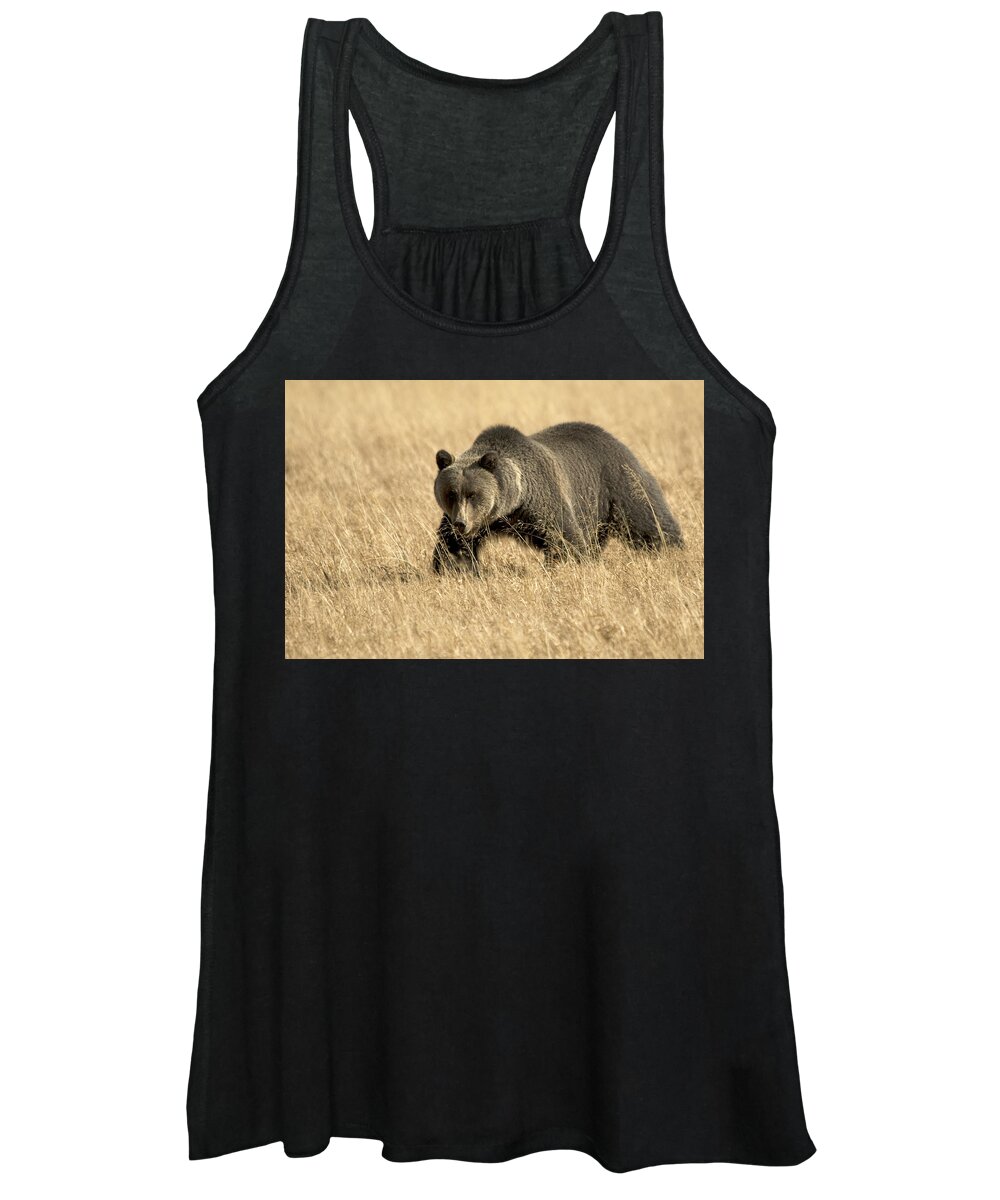 Bear Women's Tank Top featuring the photograph Bear On The Prowl by Gary Beeler