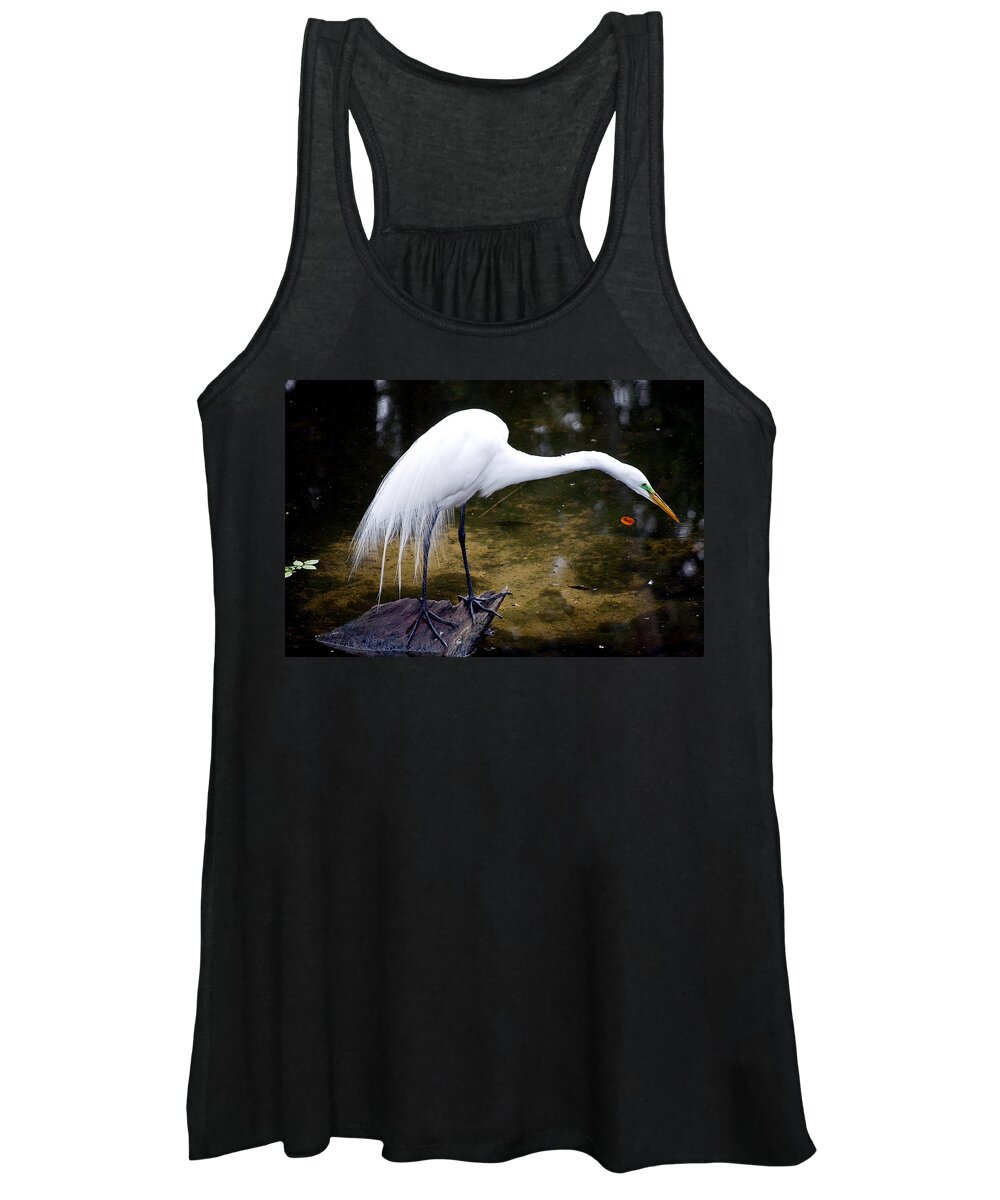 Wildlife Women's Tank Top featuring the photograph Beautiful Plumage by Kenneth Albin