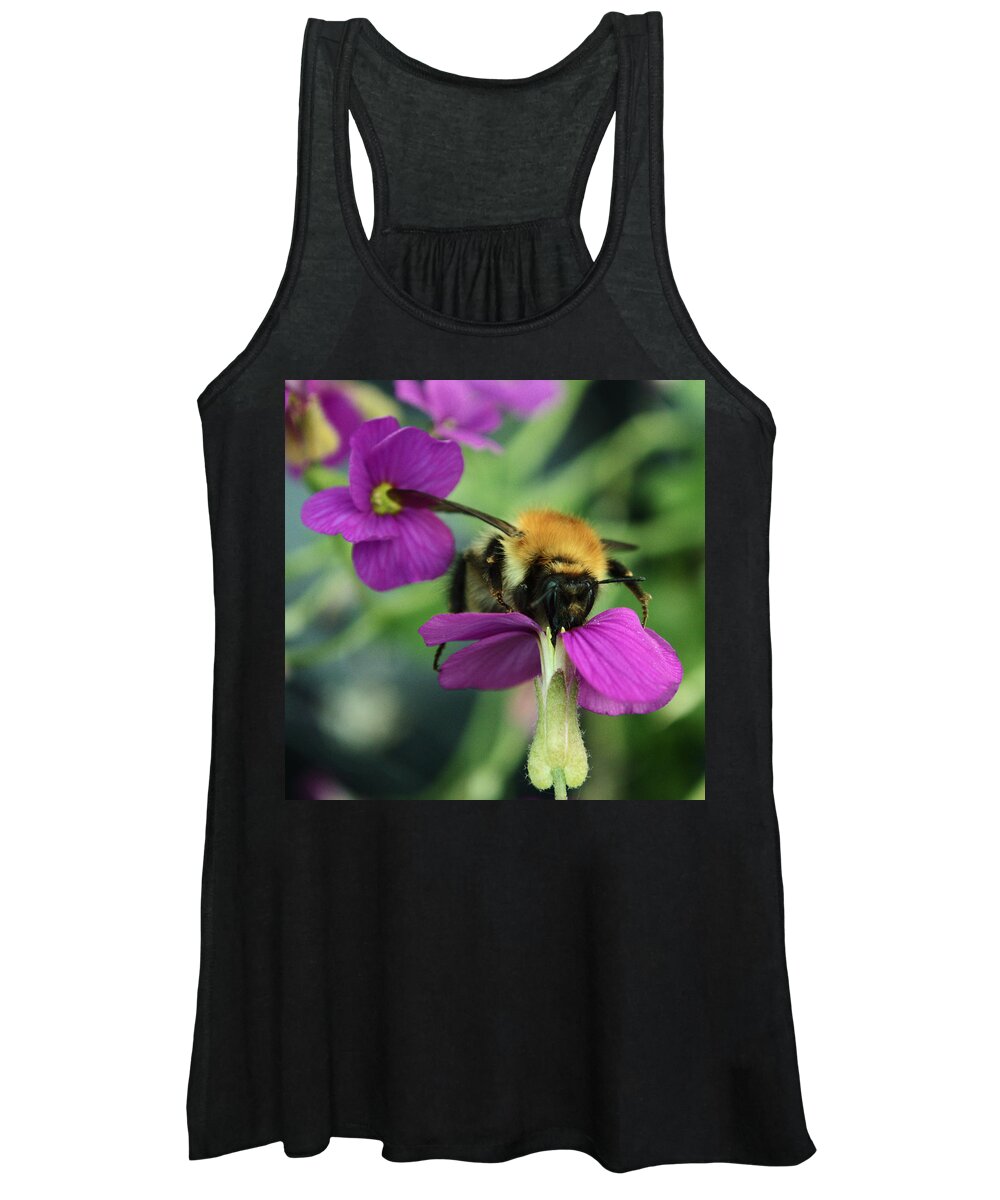 Bee Women's Tank Top featuring the photograph Bee At Work by Adrian Wale