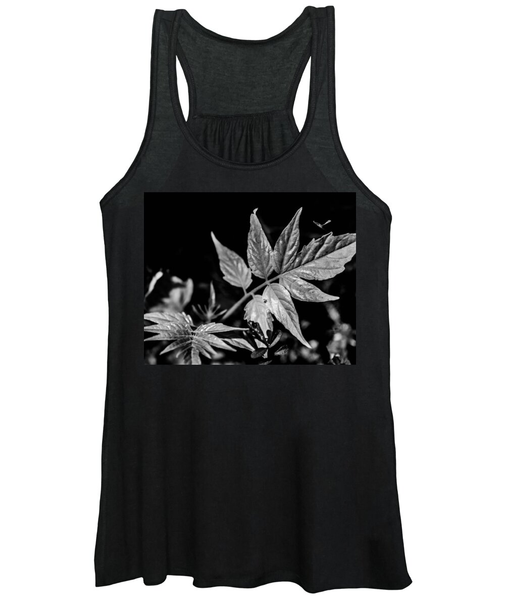 Black And White Plant Forest Woods Bruce Pritchett Photography Women's Tank Top featuring the photograph Black and White On the forest Floor by Bruce Pritchett
