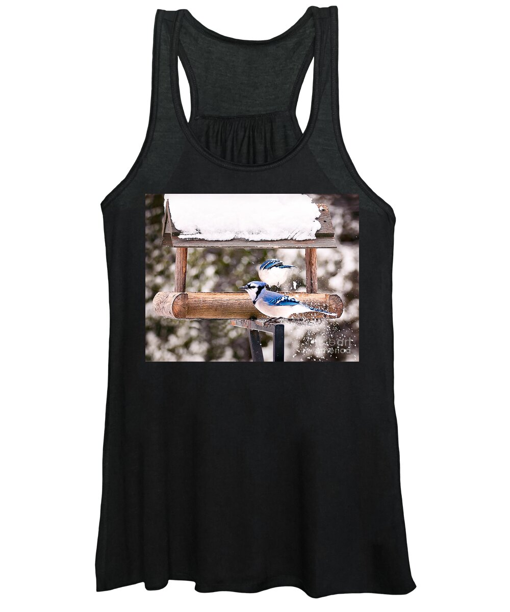 Blue Jays Women's Tank Top featuring the photograph Blue Jays in Winter by Gwen Gibson