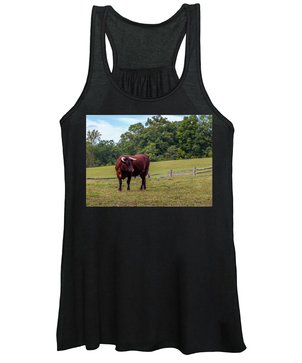  Bull Women's Tank Top featuring the photograph Bull in Field by Ed Clark