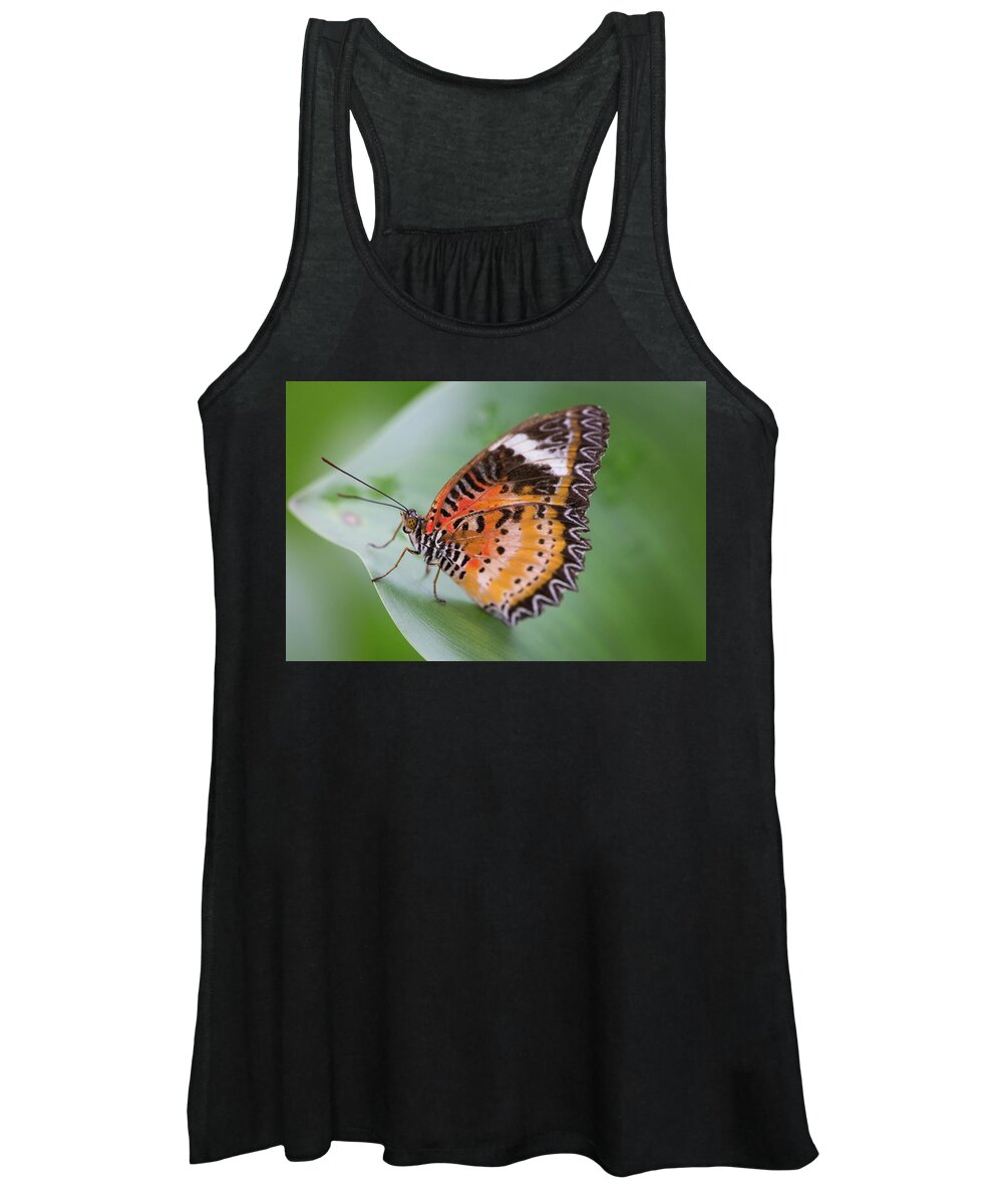 Animal Women's Tank Top featuring the photograph Butterfly on the Edge of Leaf by John Wadleigh
