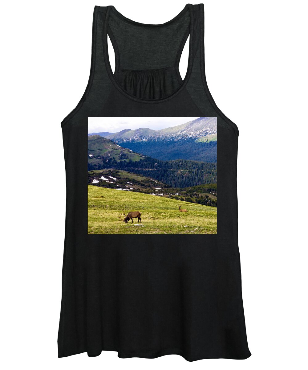 Americana Women's Tank Top featuring the photograph Colorado Elk by Marilyn Hunt