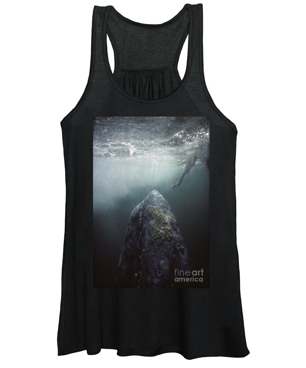 00143390 Women's Tank Top featuring the photograph Curious Gray Whale and Tourist by Tui De Roy
