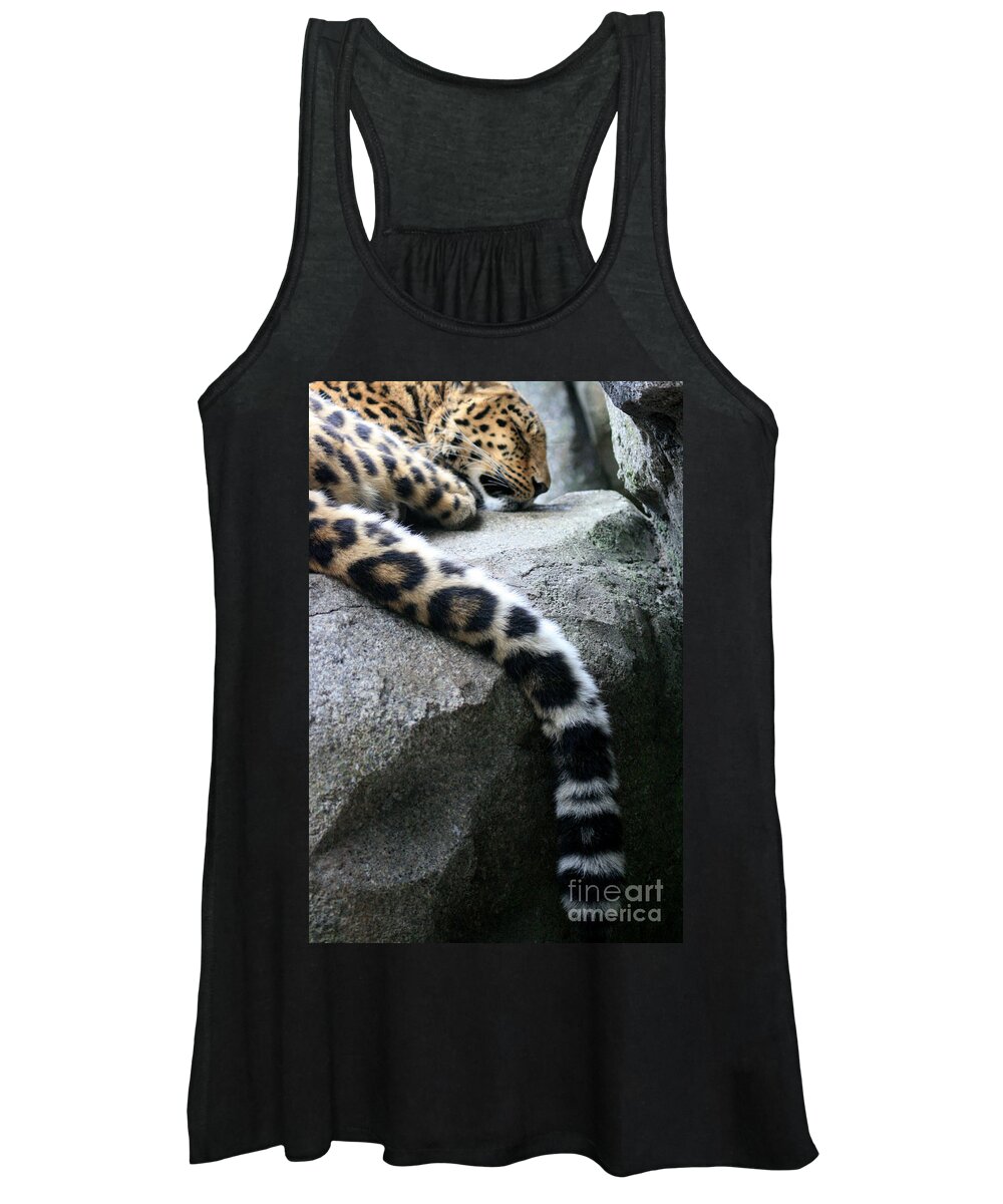 Mammal Women's Tank Top featuring the photograph Dangling and Dozing by Mary Mikawoz