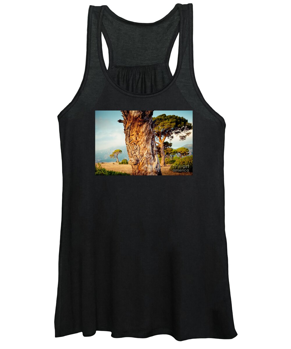 Water Women's Tank Top featuring the photograph Dead Tree and forest by Raimond Klavins