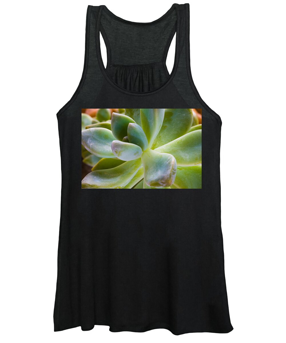 Beautiful Women's Tank Top featuring the photograph Blue Pearl Plant by Raul Rodriguez