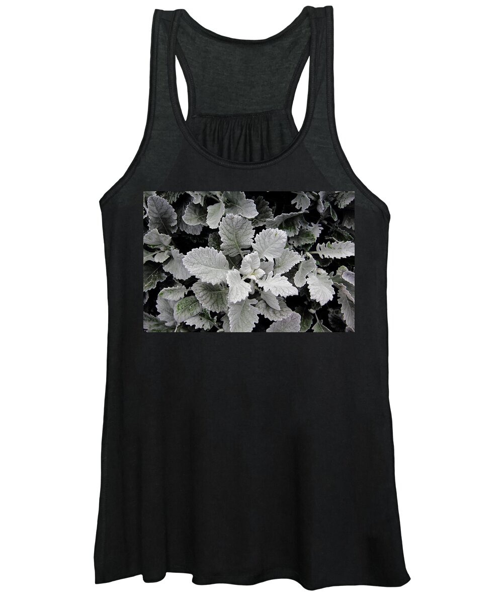 Plant Women's Tank Top featuring the photograph Dusty Miller by Allen Nice-Webb