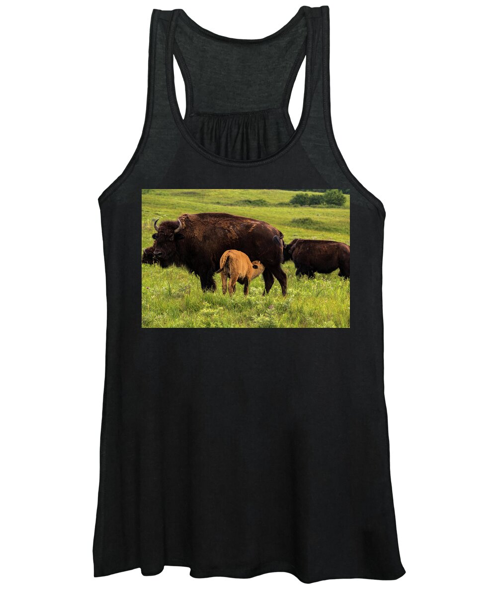 Jay Stockhaus Women's Tank Top featuring the photograph Feeding Time by Jay Stockhaus