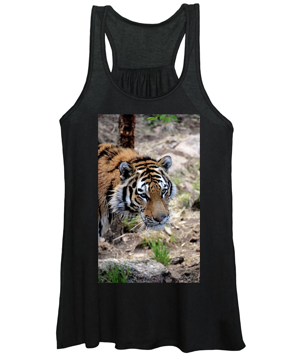Tiger Women's Tank Top featuring the photograph Feline Focus by Angelina Tamez