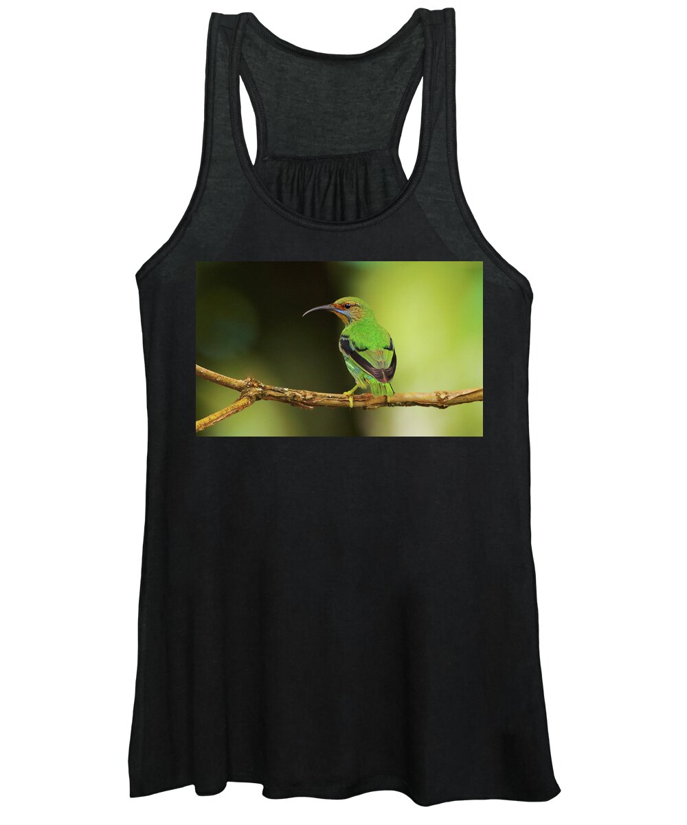 Asa Wright Nature Centre Women's Tank Top featuring the photograph Female Green Honeycreeper at Trinidad's Asa Wright by Steve Wolfe