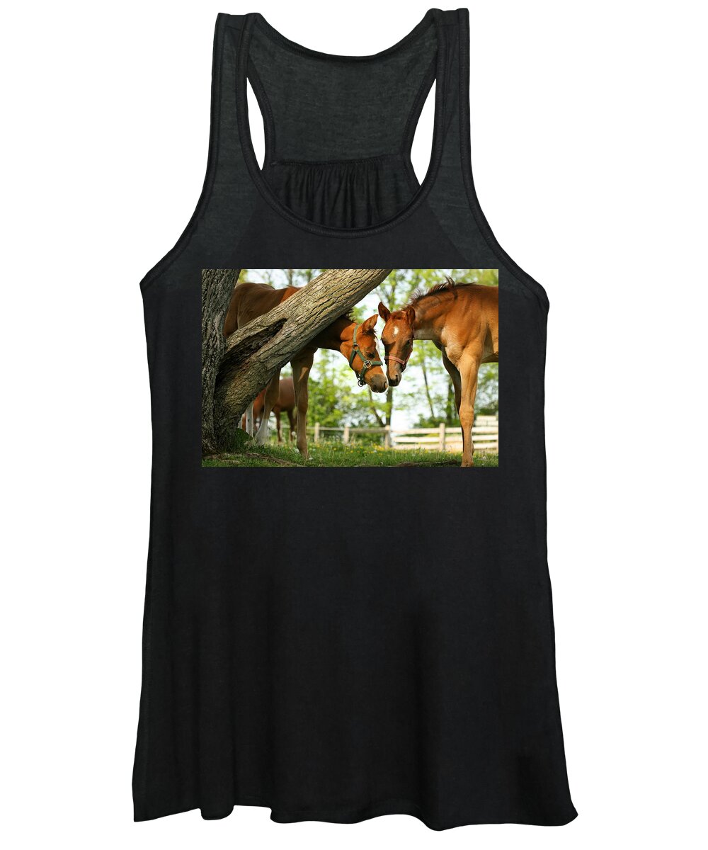 Horses Women's Tank Top featuring the photograph Friends by Angela Rath