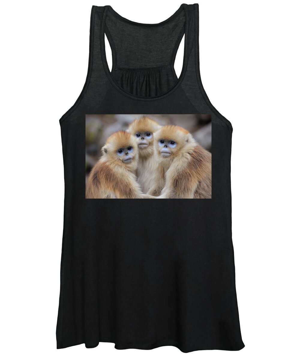 Mp Women's Tank Top featuring the photograph Golden Snub-nosed Monkey Rhinopithecus by Cyril Ruoso
