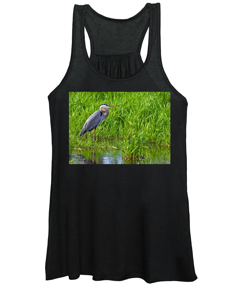 Heron Women's Tank Top featuring the photograph Great Blue Heron Waiting by Ed Peterson
