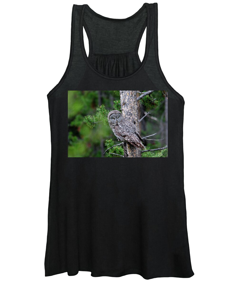 Owl Women's Tank Top featuring the photograph Great Gray Owl by Ronnie And Frances Howard