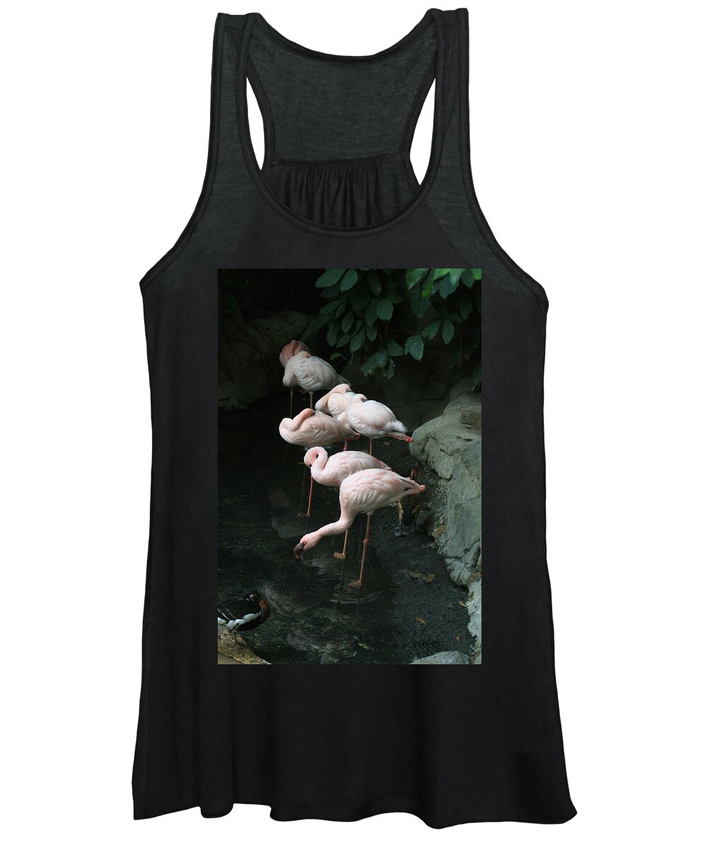 Scene Women's Tank Top featuring the photograph Hide and Seek by Mary Mikawoz