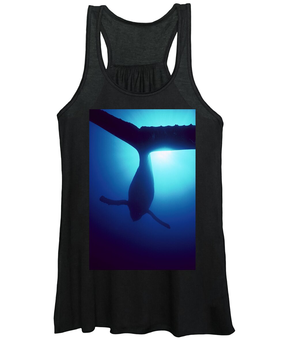 Mp Women's Tank Top featuring the photograph Humpback Whale Megaptera Novaeangliae by Flip Nicklin