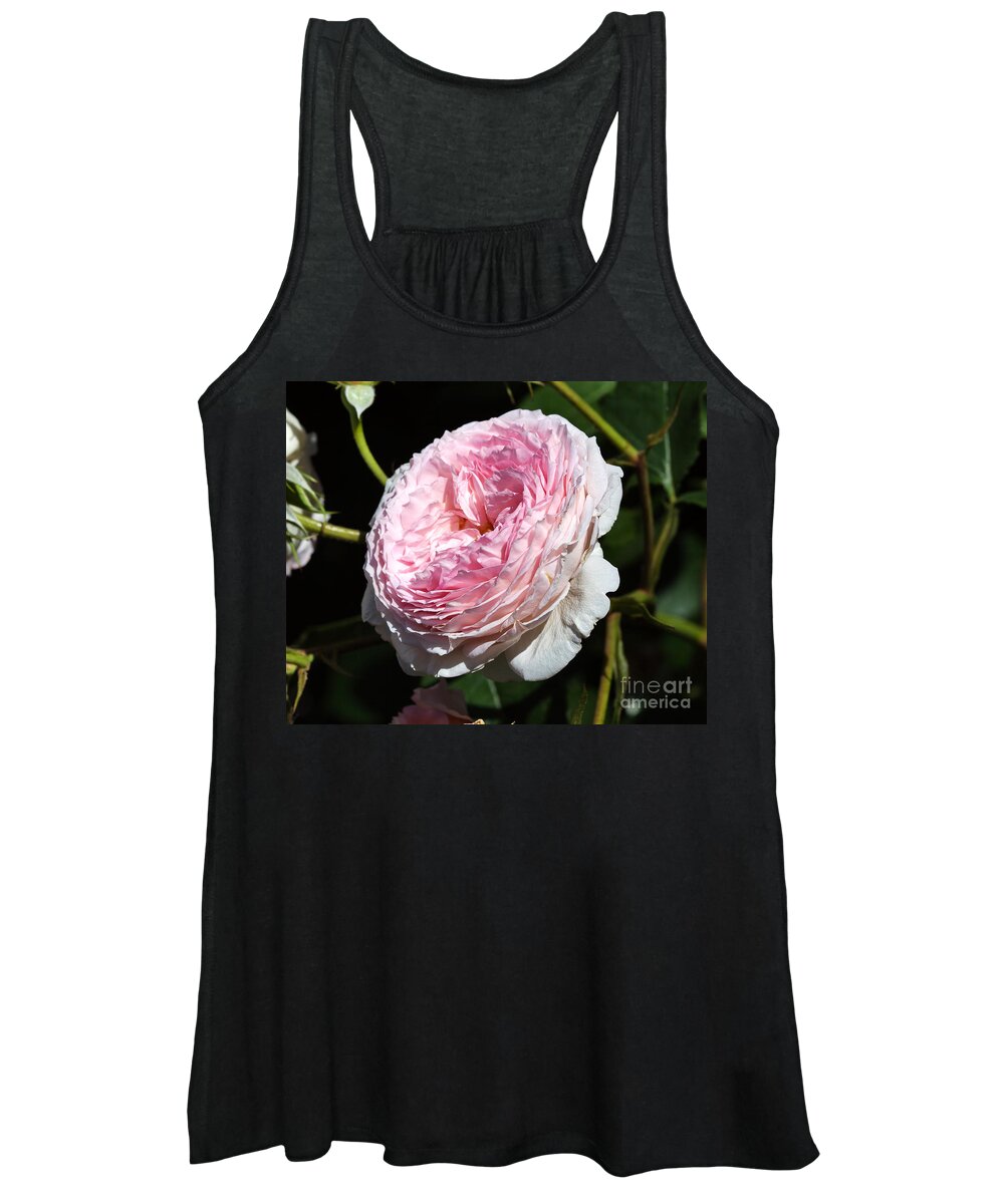 Rose Women's Tank Top featuring the photograph James Galway rose by Louise Heusinkveld