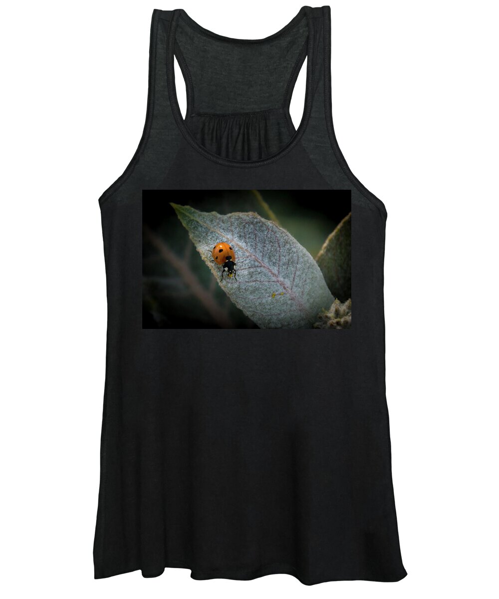 Ladybug Women's Tank Top featuring the photograph Ladybug on a Cactus Plant 1 by Donald Pash